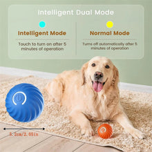 Smart Interactive Dog Toy Ball – USB Rechargeable Automatic Moving & Bouncing Ball for Puppies