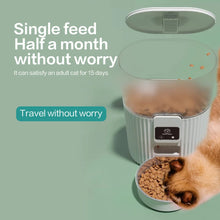 PAPIFEED Smart Feeder for Cats & Dogs 🐾🎉