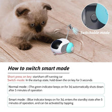 Remote-Controlled Smart Electric Cat Toy – Automatic Gravity Moving Car with Interactive