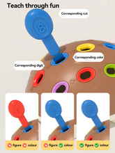 Children's Colorful Splice Hedgehog – Learning Toy