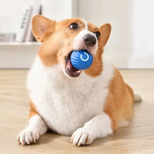 Smart Interactive Dog Toy Ball – USB Rechargeable Automatic Moving & Bouncing Ball for Puppies