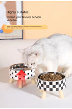 Elevated Cat Feeder Bowl - Anti-Choking Raised Food & Water Bowl with Stand