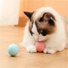 Smart Interactive Dog Toy Ball – USB Rechargeable Automatic Moving & Bouncing Ball for Puppies